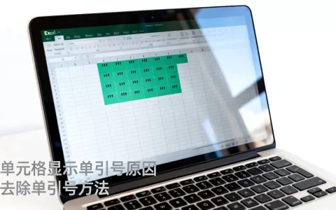 Excel单元格显示单引号怎么回事？excel表格出现单引号怎么去掉