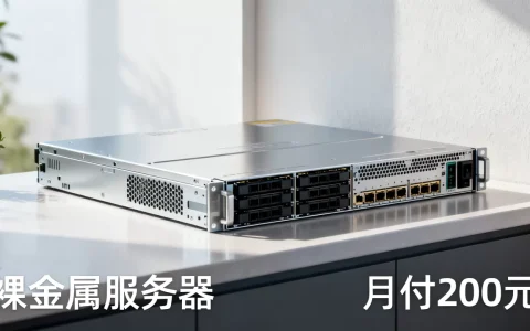 标准互联裸金属服务器月付200元靠谱吗？国内裸金属服务器租用价格