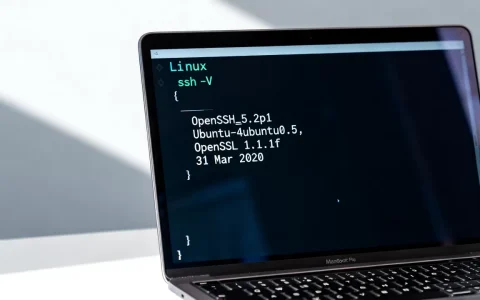 如何查看Linux中的OpenSSH版本？linux查看openssh命令