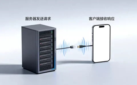 服务器怎么和客户端交互？服务器与客户端通信原理