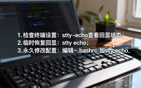 Linux命令输入不回显怎么办？Linux终端不回显解决方法
