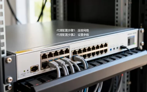 给服务器设置代理