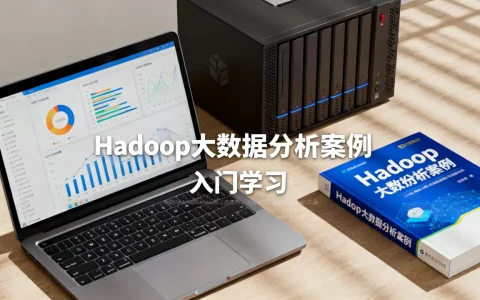 Hadoop大数据分析例子有哪些？大数据入门学习案例