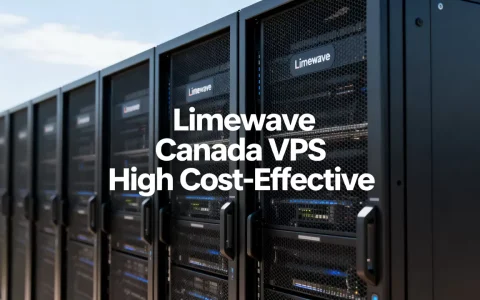 Limewave加拿大VPS值得租吗？海外VPS推荐性价比高