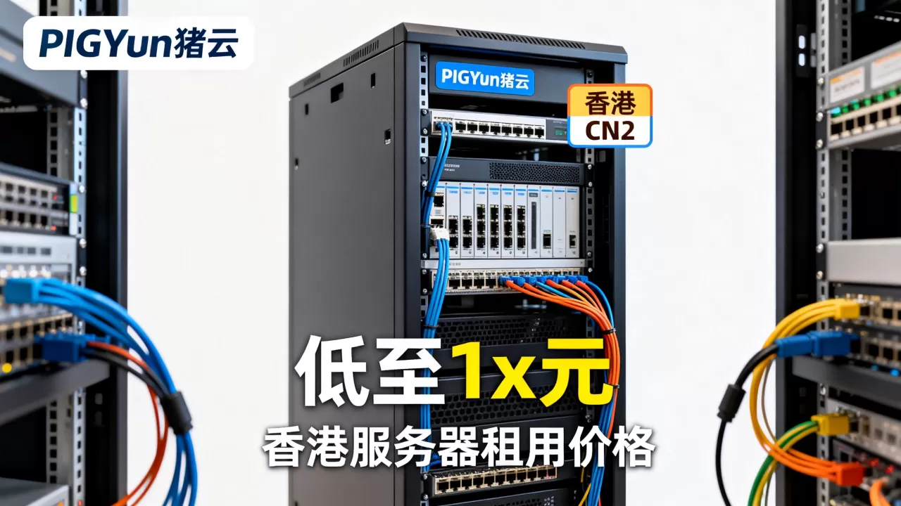 PIGYun猪云香港CN2低至1x元值得买吗，香港服务器租用价格