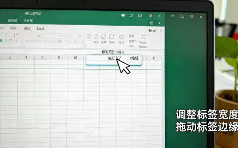 Excel标签大小怎么调？excel表格标签页宽度设置