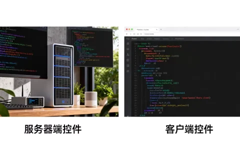 什么是服务器端控件和客户端控件？前端开发中服务器控件和客户端控件区别