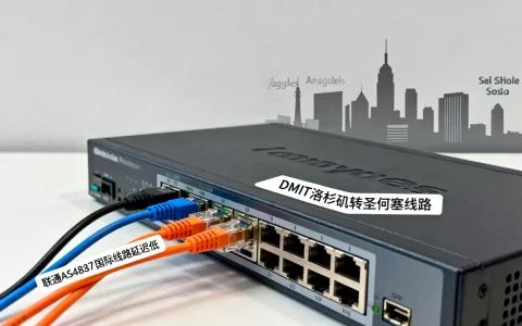 DMIT洛杉矶转圣何塞线路更好吗？联通AS4837国际线路延迟低