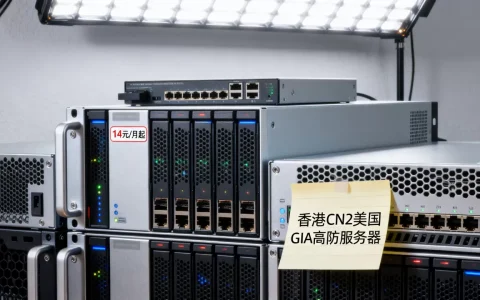 PIGYun猪云五一特惠14元/月起值得买吗？香港CN2美国GIA高防服务器推荐