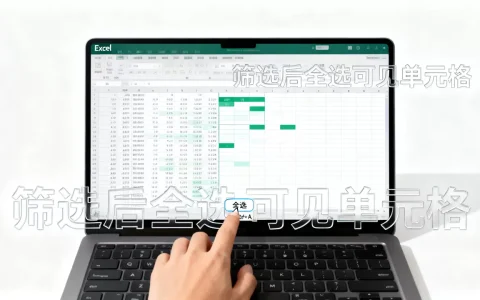 Excel筛选如何全选？excel筛选数据后全选所有可见单元格