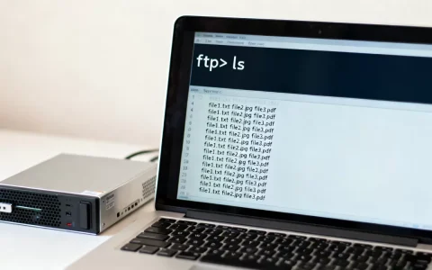如何用ftp命令获取服务器文件列表？ftp命令详解