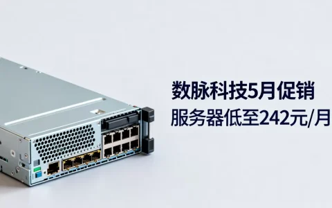 数脉科技5月促销香港服务器低至242元/月，香港独立服务器哪家强