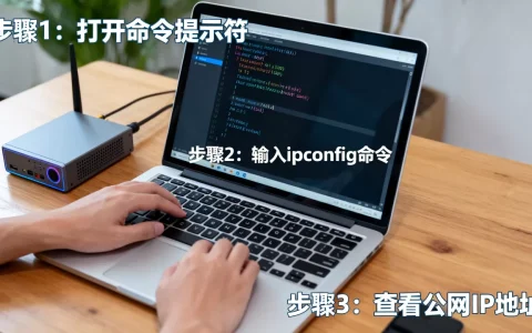 如何查询服务器公网IP？查服务器公网IP地址