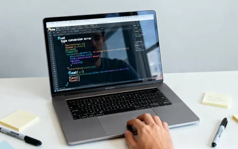 float+python怎么用？python中float类型转换报错怎么解决