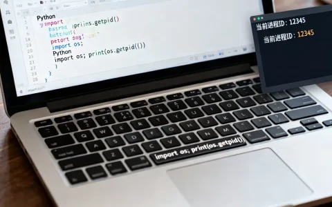 Python中getpid怎么用？python获取进程id的方法