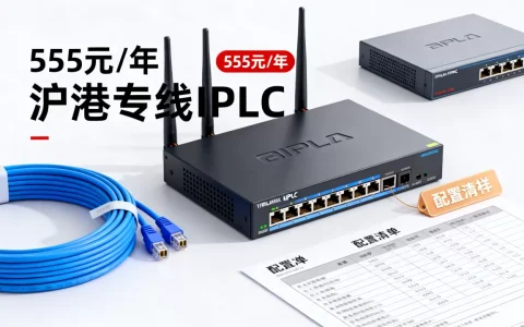 沪港专线IPLC真的稳定吗？555元/年配置怎么样