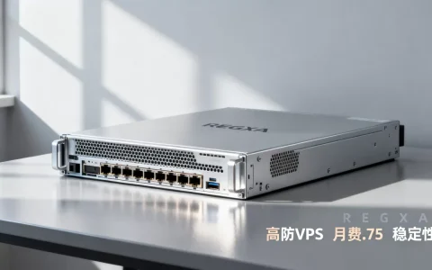 REGXA高防VPS月费$3.75性价比如何，哪家高防VPS比较稳定？