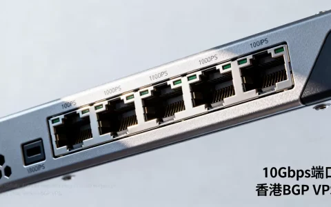 快车道10Gbps端口VPS值得买吗，香港BGP VPS哪个好？