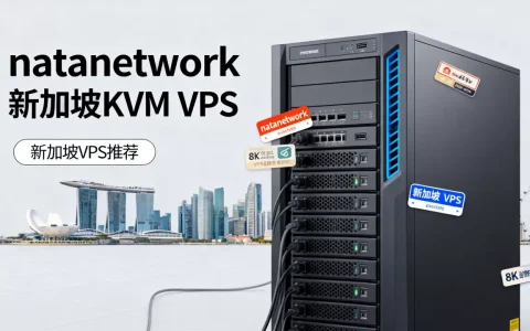 natanetwork新加坡KVM VPS值得买吗，新加坡VPS哪个好？