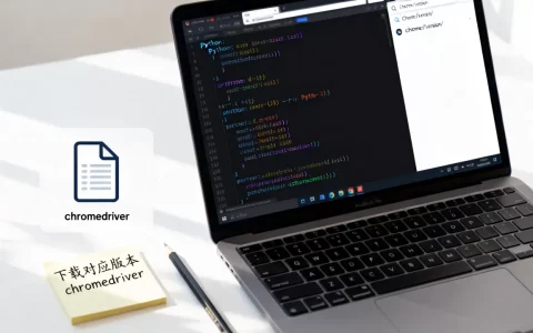 Python如何安装配置chromedriver，chromedriver版本不匹配怎么办？