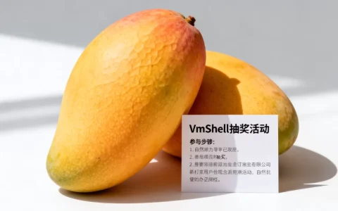 IDC商家免费送芒果是真的吗，VmShell抽奖活动怎么参加？