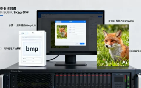 服务器如何高效处理bmp文件，bmp格式怎么转换成jpg？