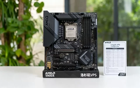 8美金买AMD 5900X服务器划算吗，洛杉矶VPS哪家好