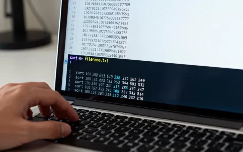 Linux文本排序怎么操作，sort命令如何按数字排序？