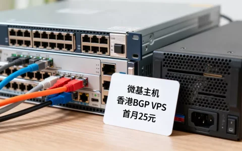 微基主机香港BGP VPS首月25元值吗，香港VPS哪个好？