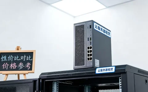 服务器租借哪个平台性价比最高，云服务器租赁价格多少钱一个月？