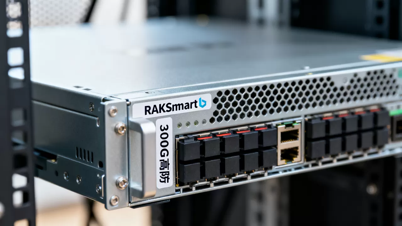 RAKsmart 300G高防怎么选,高防服务器哪个品牌好? RAKsmart 300G高防怎么选,高防服务器哪个品牌好?