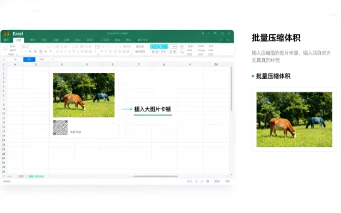 Excel插入大图片导致卡顿怎么办，Excel图片怎么批量压缩体积？