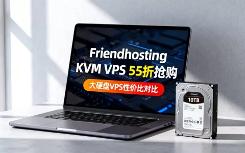 Friendhosting KVM VPS 55折怎么抢，哪个大硬盘VPS性价比最高？