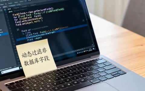 如何用反射去除非数据库字段，Java反射怎么动态过滤字段？