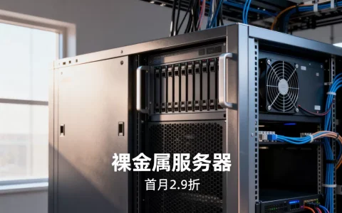 10gbiz八月活动裸金属服务器首月仅2.9折？，靠谱吗？