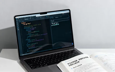 Python中getvalue怎么使用，有哪些常见应用场景？