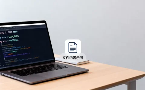 C语言fseek和ftell怎么用，如何获取文件大小？