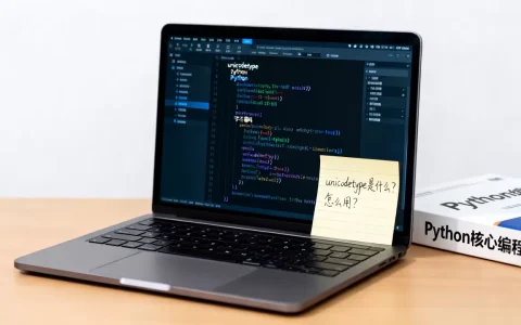 python unicodetype是什么？，怎么用？