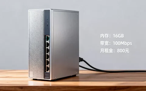 服务器国内怎么选最划算，租用多少钱一个月？