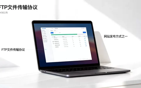 FTP是网站发布方式的一种吗，是什么意思？