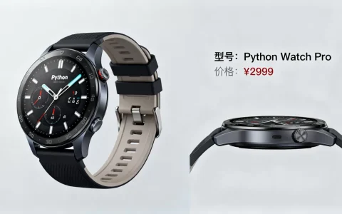 python手表到底值不值得买，多少钱？