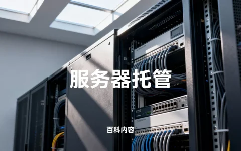 服务器托管百科到底包含哪些重要内容，哪家更靠谱？