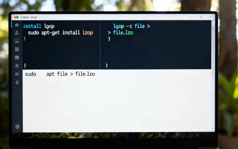 linux lzop怎么用，如何安装lzop