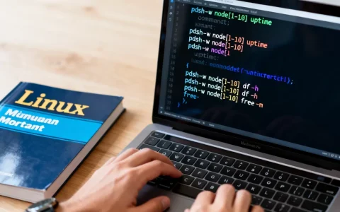 linux pdsh怎么用？，有哪些常用命令