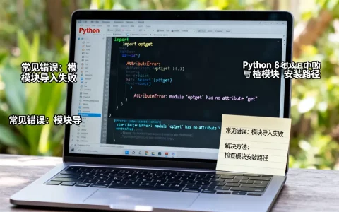 optget python怎么用？，有哪些常见错误与解决方法