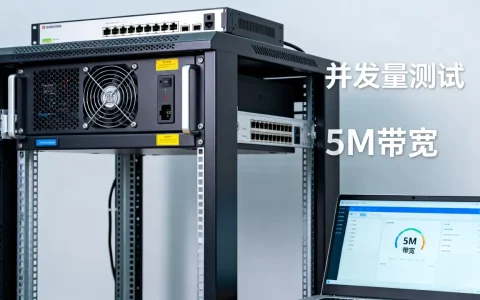 服务器5m能承受多少并发？，并发量怎么测试