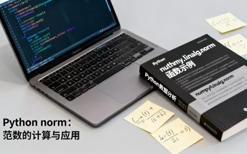 Python norm是什么意思，怎么用？