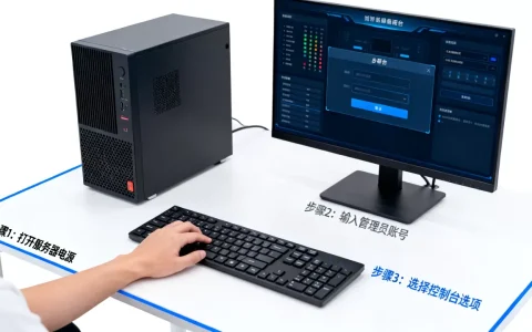 服务器系统控制台怎么打开，具体操作步骤是什么？