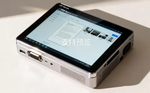 ftp服务器支持预览