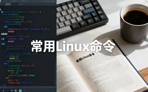 如何在Linux中点菜，Linux常用命令有哪些？